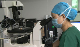 实验视频,揭秘科学奥秘的瞬间